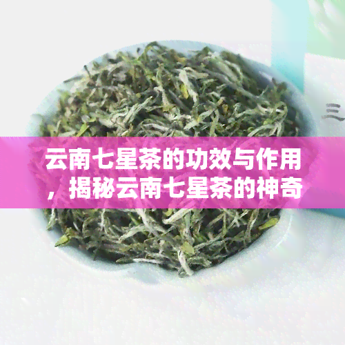 云南七星茶的功效与作用，揭秘云南七星茶的神奇功效与作用