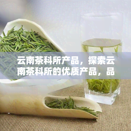 云南茶科所产品，探索云南茶科所的优质产品，品味地道的滇茶风味！