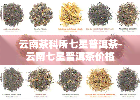 云南茶科所七星普洱茶-云南七星普洱茶价格