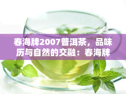 春海牌2007普洱茶，品味历与自然的交融：春海牌2007普洱茶的魅力探索