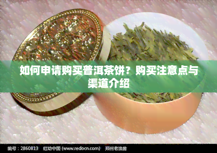 如何申请购买普洱茶饼？购买注意点与渠道介绍