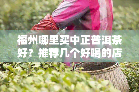 福州哪里买中正普洱茶好？推荐几个好喝的店及场