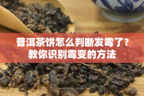 普洱茶饼怎么判断发霉了？教你识别霉变的方法