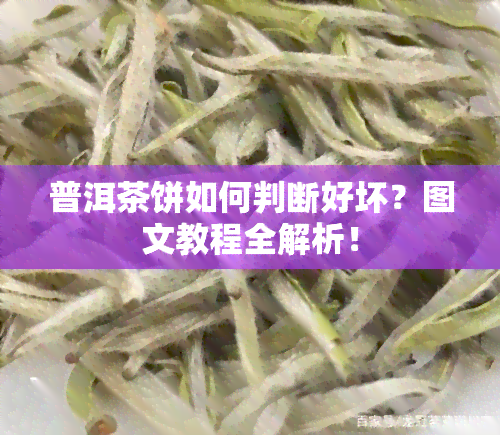 普洱茶饼如何判断好坏？图文教程全解析！