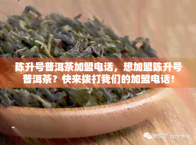 陈升号普洱茶加盟电话，想加盟陈升号普洱茶？快来拨打我们的加盟电话！