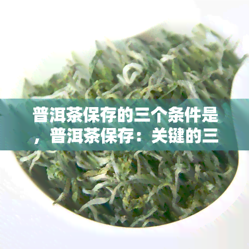 普洱茶保存的三个条件是，普洱茶保存：关键的三个条件是什么？