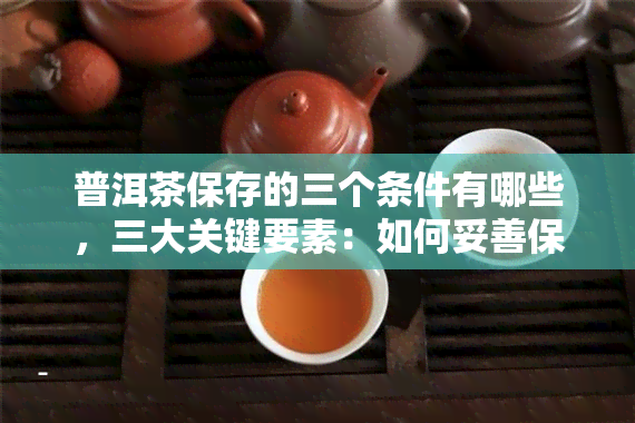 普洱茶保存的三个条件有哪些，三大关键要素：如何妥善保存你的普洱茶？