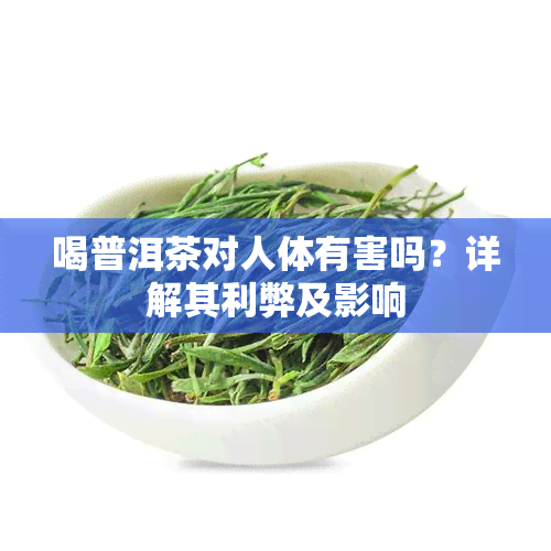 喝普洱茶对人体有害吗？详解其利弊及影响