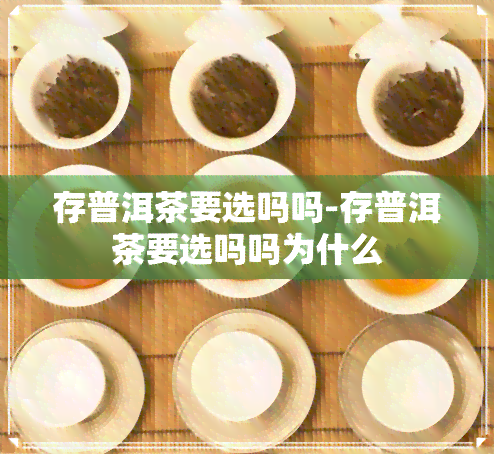 存普洱茶要选吗吗-存普洱茶要选吗吗为什么