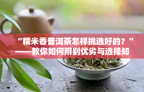 “糯米香普洱茶怎样挑选好的？”——教你如何辨别优劣与选择知名