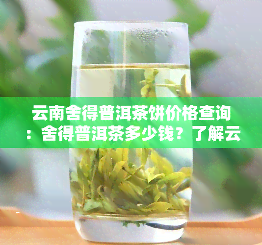 云南舍得普洱茶饼价格查询：舍得普洱茶多少钱？了解云南舍得文化传播产品信息