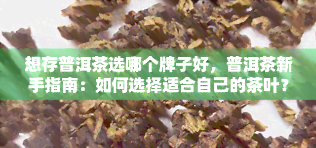 想存普洱茶选哪个牌子好，普洱茶新手指南：如何选择适合自己的茶叶？