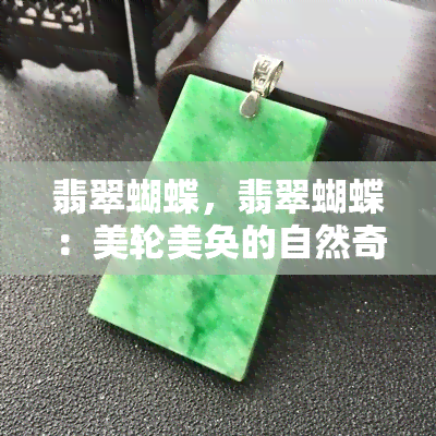 翡翠蝴蝶，翡翠蝴蝶：美轮美奂的自然奇迹