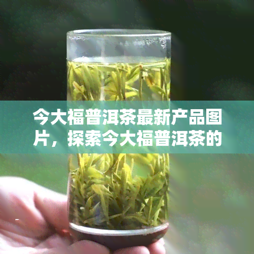 今大福普洱茶最新产品图片，探索今大福普洱茶的最新产品：精美图片一为快！