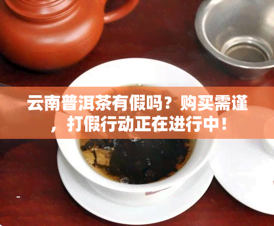 云南普洱茶有假吗？购买需谨，打假行动正在进行中！