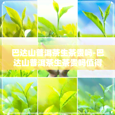 巴达山普洱茶生茶贵吗-巴达山普洱茶生茶贵吗值得买吗