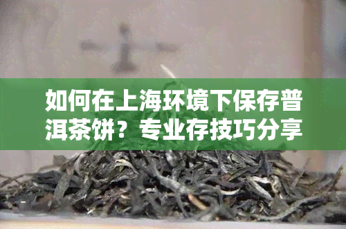 如何在上海环境下保存普洱茶饼？专业存技巧分享