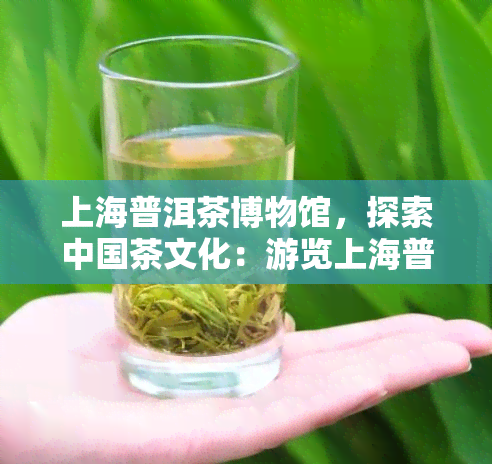 上海普洱茶博物馆，探索中国茶文化：游览上海普洱茶博物馆