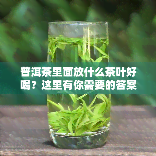 普洱茶里面放什么茶叶好喝？这里有你需要的答案！