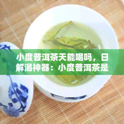 小度普洱茶天能喝吗，日解渴神器：小度普洱茶是否适合天饮用？