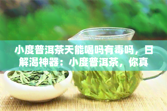 小度普洱茶天能喝吗有吗，日解渴神器：小度普洱茶，你真的了解它吗？