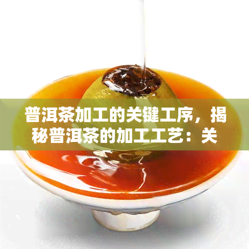 普洱茶加工的关键工序，揭秘普洱茶的加工工艺：关键工序解析