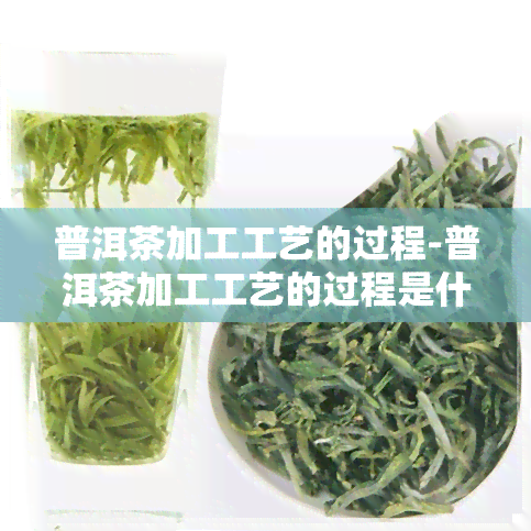 普洱茶加工工艺的过程-普洱茶加工工艺的过程是什么