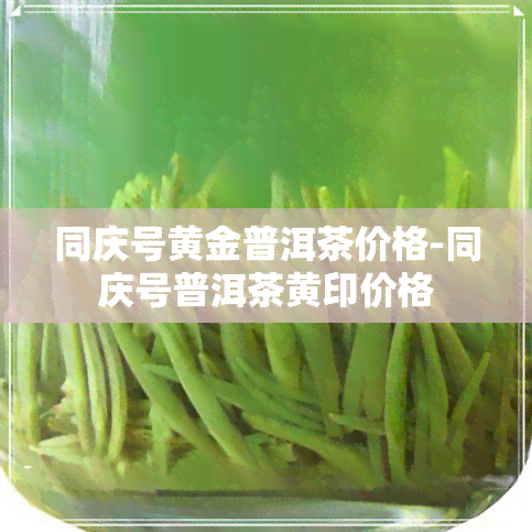 同庆号黄金普洱茶价格-同庆号普洱茶黄印价格