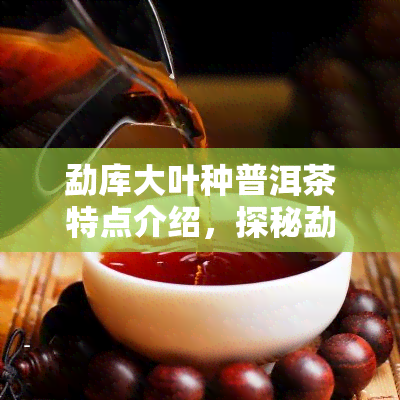 勐库大叶种普洱茶特点介绍，探秘勐库大叶种普洱茶的独特魅力