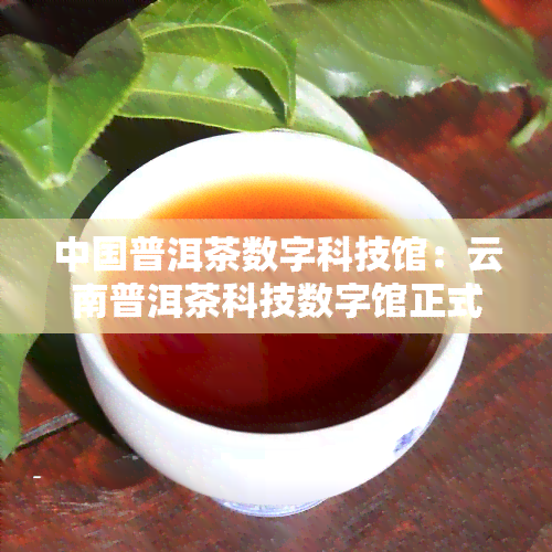 中国普洱茶数字科技馆：云南普洱茶科技数字馆正式开放，展示中国普洱茶科研成果