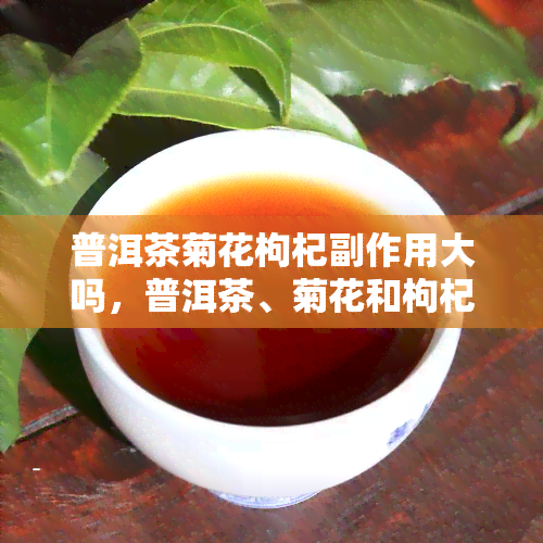 普洱茶菊花枸杞副作用大吗，普洱茶、菊花和枸杞的搭配是否会产生副作用？