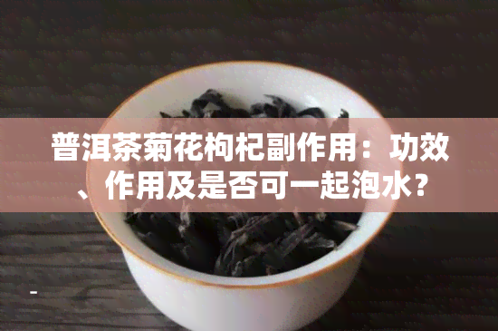 普洱茶菊花枸杞副作用：功效、作用及是否可一起泡水？