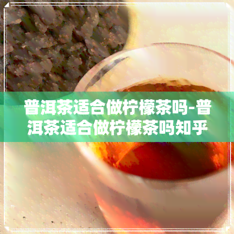 普洱茶适合做柠檬茶吗-普洱茶适合做柠檬茶吗知乎