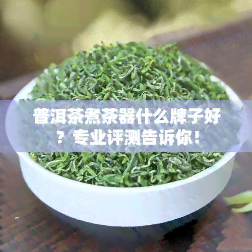 普洱茶煮茶器什么牌子好？专业评测告诉你！