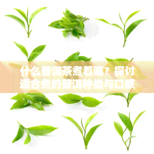 什么普洱茶煮着喝？探讨适合煮的普洱种类与口感