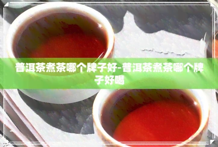 普洱茶煮茶哪个牌子好-普洱茶煮茶哪个牌子好喝