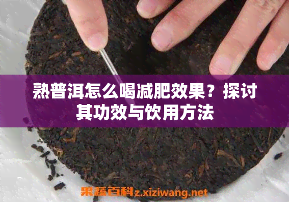 熟普洱怎么喝减肥效果？探讨其功效与饮用方法