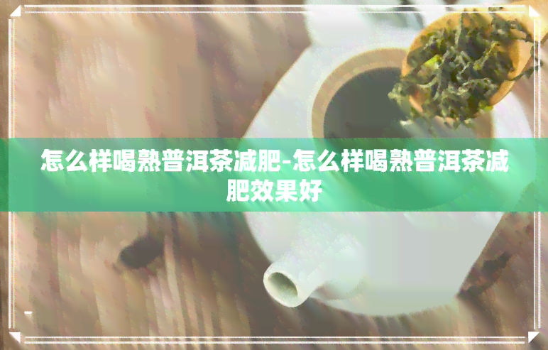 怎么样喝熟普洱茶减肥-怎么样喝熟普洱茶减肥效果好