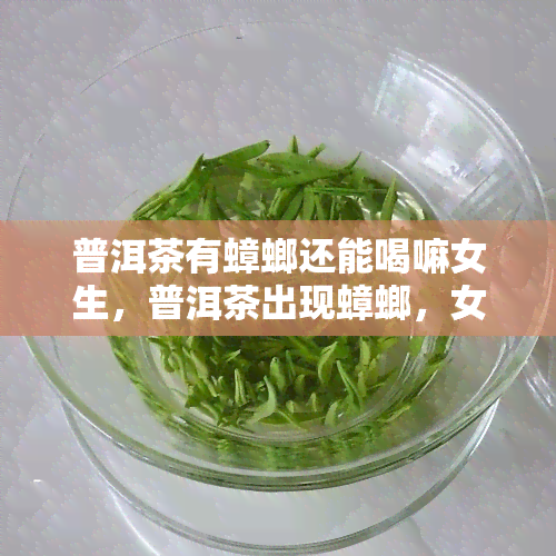 普洱茶有蟑螂还能喝嘛女生，普洱茶出现蟑螂，女性是否还能安全饮用？