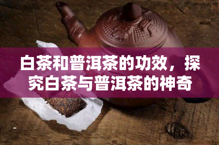 白茶和普洱茶的功效，探究白茶与普洱茶的神奇功效，你不可不知的秘密！