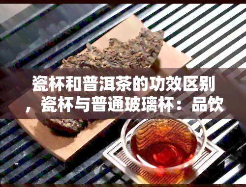 瓷杯和普洱茶的功效区别，瓷杯与普通玻璃杯：品饮普洱茶的差异与选择