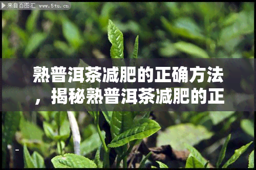 熟普洱茶减肥的正确方法，揭秘熟普洱茶减肥的正确方法，让你轻松享瘦！