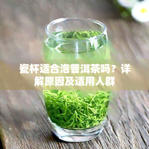 瓷杯适合泡普洱茶吗？详解原因及适用人群