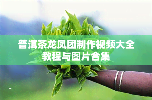 普洱茶龙凤团制作视频大全教程与图片合集