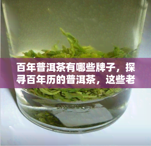 百年普洱茶有哪些牌子，探寻百年历的普洱茶，这些老字号值得收藏！