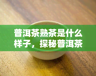 普洱茶熟茶是什么样子，探秘普洱茶熟茶：它的外观特征与品尝体验