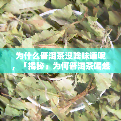 为什么普洱茶没啥味道呢，「揭秘」为何普洱茶喝起来没什么味道？