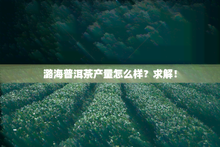 潞海普洱茶产量怎么样？求解！