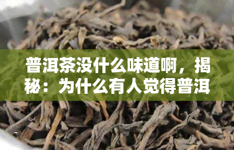 普洱茶没什么味道啊，揭秘：为什么有人觉得普洱茶没味道？