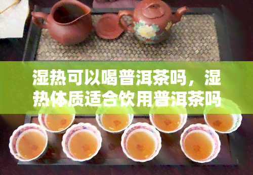 湿热可以喝普洱茶吗，湿热体质适合饮用普洱茶吗？